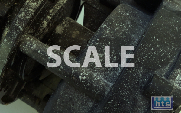 Check Pumps & Components For Traces Of Scale